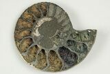 3.5" Cut & Polished, Pyritized Ammonite Fossil - Russia - #198341-3